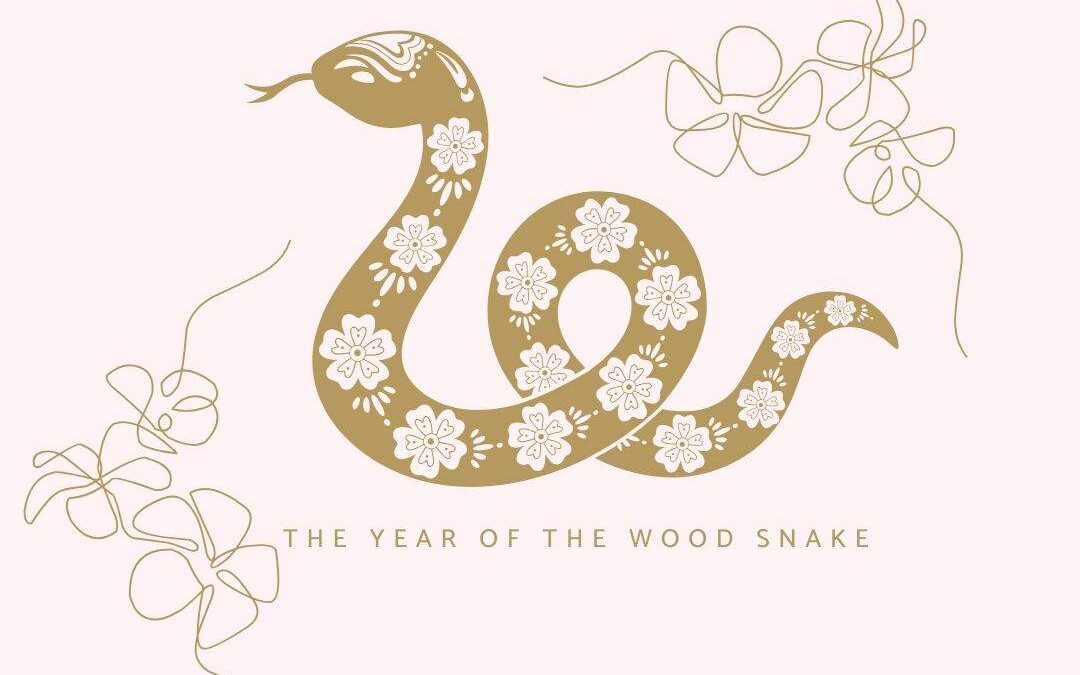 The year of the Wood Snake: 2025 is the year everything changes