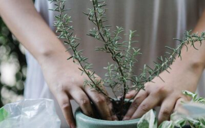 Self-care solution for women over 40