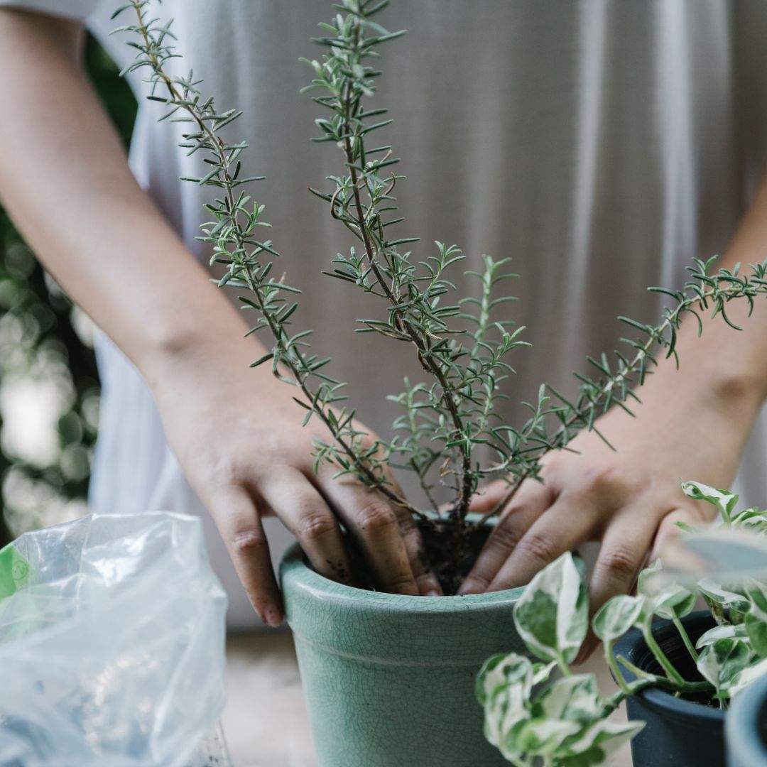 woman self-care nurturing wellbeing woman self-care nurturing wellbeing