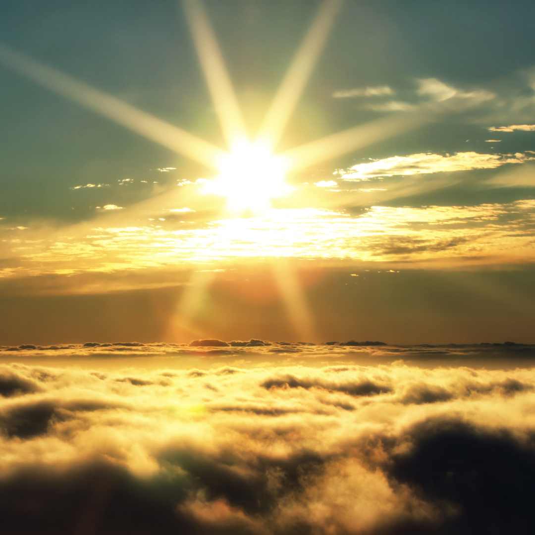 Wisdom Code Wisdom Code