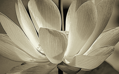 The Truth About Divine Feminine Energy