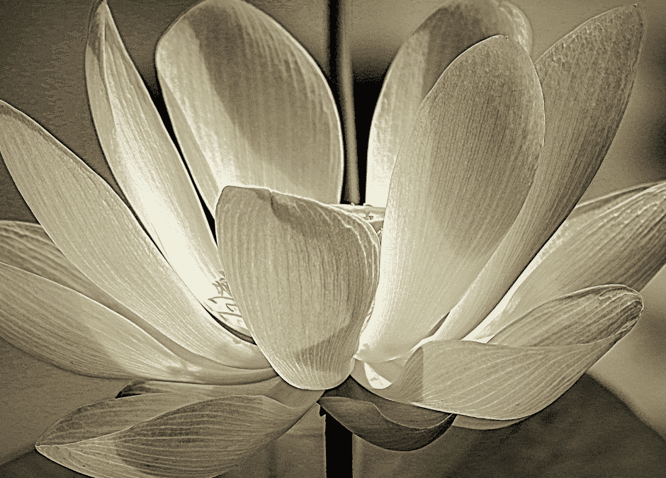 The Truth About Divine Feminine Energy