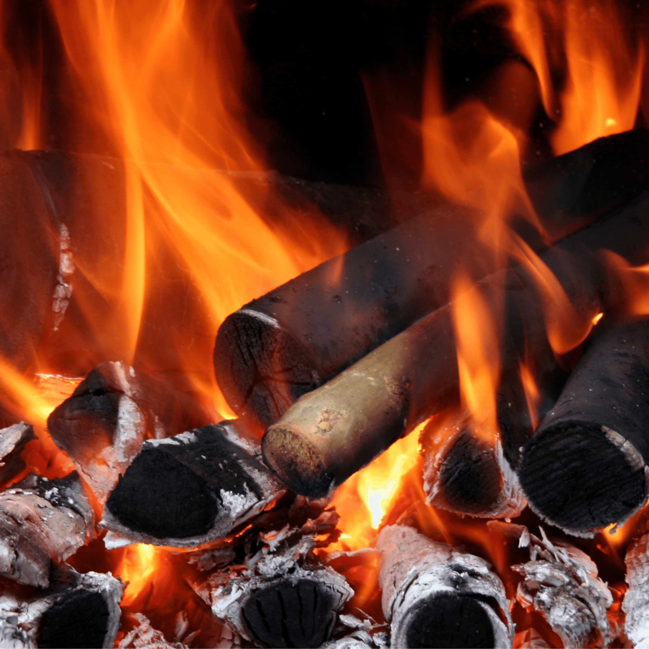 fire (1) Lisa Petty wellbeing health benefits purpose